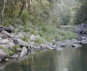 Bellthorpe National Park - Brisbane Tourism 1