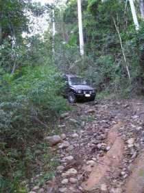 Bellthorpe National Park - Brisbane Tourism 3