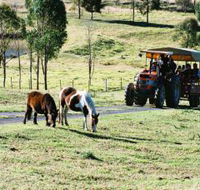 Calmsley Hill City Farm - Brisbane Tourism