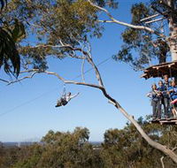 TreeTop Safari - Brisbane Tourism