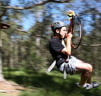 TreeTop Adventure Park Sydney - Brisbane Tourism