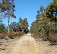 Werakata National Park - Brisbane Tourism