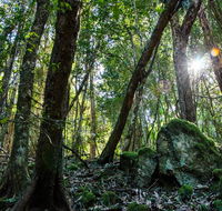 Copeland Tops State Conservation Area - Tourism Brisbane