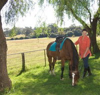 Sugarloaf Horse Centre - Brisbane Tourism