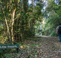 Basin Loop track - Tourism Brisbane