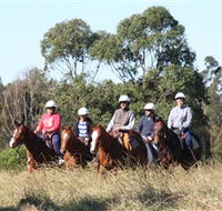 Sydney Trail Riding Centre - Brisbane Tourism