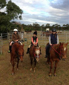Sydney Trail Riding Centre - Brisbane Tourism 2