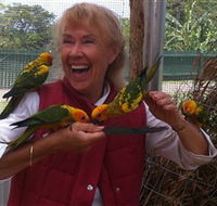 Maleny Botanic Gardens  Bird World - Tourism Brisbane