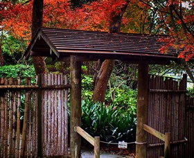 Japanese Gardens And Teahouse Campbelltown - Brisbane Tourism 4