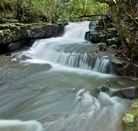 Jerusalem Creek trail - Tourism Brisbane