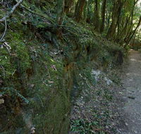 Hidden Treasure track - Tourism Brisbane