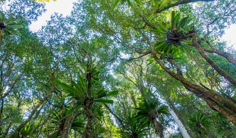 Hidden Treasure Track - Tourism Brisbane 2