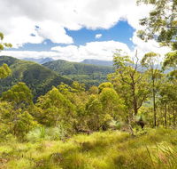 Toonumbar National Park - Brisbane Tourism