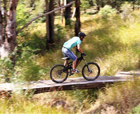 The Steps Mountain Bike Park - Tourism Brisbane 0