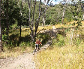 The Steps Mountain Bike Park - Tourism Brisbane 2