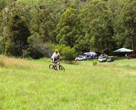 The Steps Mountain Bike Park - Tourism Brisbane 1
