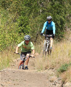 The Steps Mountain Bike Park - Tourism Brisbane 6