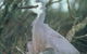Jack Smith Lake State Game Reserve - thumb 0