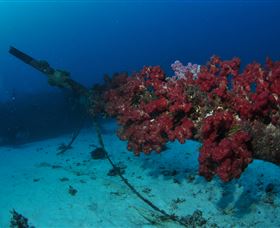 Severance Shipwreck Dive Site - Tourism Brisbane 2