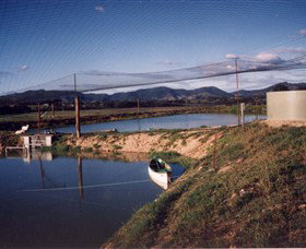 Trudgalong Farm - Tourism Brisbane 1