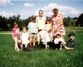 Trudgalong Farm - Tourism Brisbane 2