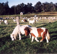 Trudgalong Farm - Tourism Brisbane