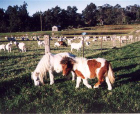 Trudgalong Farm - Tourism Brisbane 0