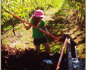 East Gippsland Wines - Tourism Brisbane 5