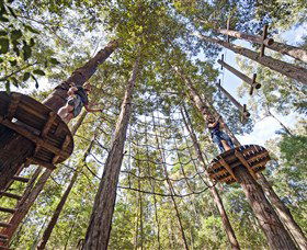 Yarramalong NSW Tourism Brisbane