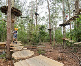 TreeTop Adventure Park Central Coast - Tourism Brisbane 1