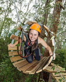 TreeTop Adventure Park Central Coast - Tourism Brisbane 3