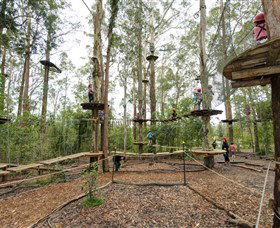 TreeTop Adventure Park Central Coast - Tourism Brisbane 5