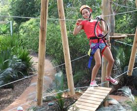 Urban Jungle Adventure Park - Brisbane Tourism 0