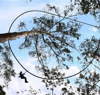 TreeTops Crazy Rider - Tourism Brisbane