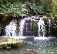 Barrington Tops National Park Walks - Tourism Brisbane