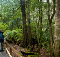 Monga National Park - Brisbane Tourism