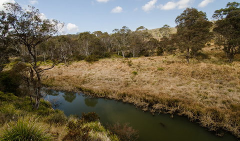 Werrikimbe National Park - Brisbane Tourism 0