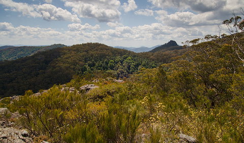 Werrikimbe National Park - Brisbane Tourism 1