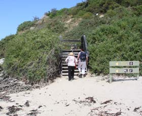Penguin Island Boardwalks And Walk Trail - Tourism Brisbane 2