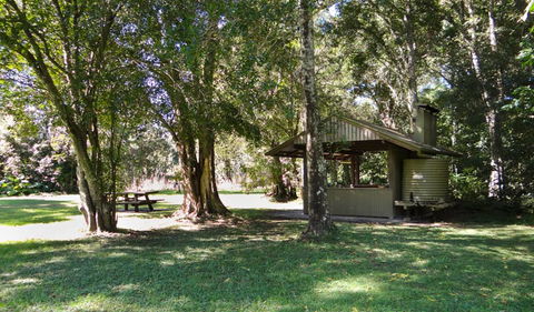 Moore Park Picnic Area - Brisbane Tourism 1