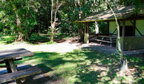 Moore Park Picnic Area - Brisbane Tourism 2