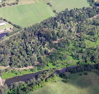 Moore Park Nature Reserve - Brisbane Tourism