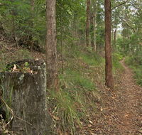 Border loop walk - Brisbane Tourism