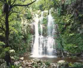 Budderoo National Park - The Falls Walk - Brisbane 4u 0