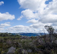 Barren Grounds Nature Reserve - Brisbane Tourism