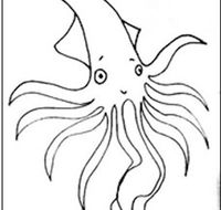 Squid Studio - Tourism Brisbane