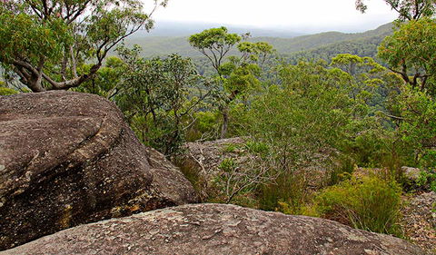 Pigeon House Mountain Didthul Walking Track - Tourism Brisbane 1