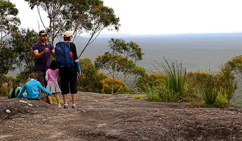 Pigeon House Mountain Didthul Walking Track - Tourism Brisbane 2