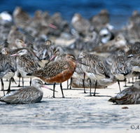 Cooloola Nature - Tourism Brisbane