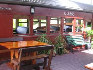 Red Rattlers Gallery - Tourism Brisbane 5
